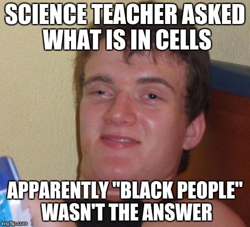 10 Guy Meme |  SCIENCE TEACHER ASKED WHAT IS IN CELLS; APPARENTLY "BLACK PEOPLE" WASN'T THE ANSWER | image tagged in memes,10 guy | made w/ Imgflip meme maker