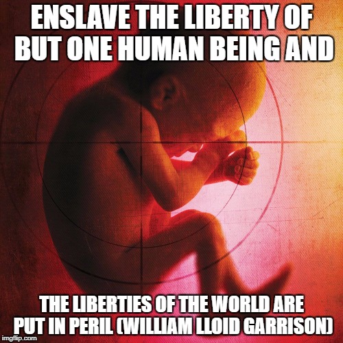 fetus | ENSLAVE THE LIBERTY OF BUT ONE HUMAN BEING AND; THE LIBERTIES OF THE WORLD ARE PUT IN PERIL (WILLIAM LLOID GARRISON) | image tagged in fetus | made w/ Imgflip meme maker