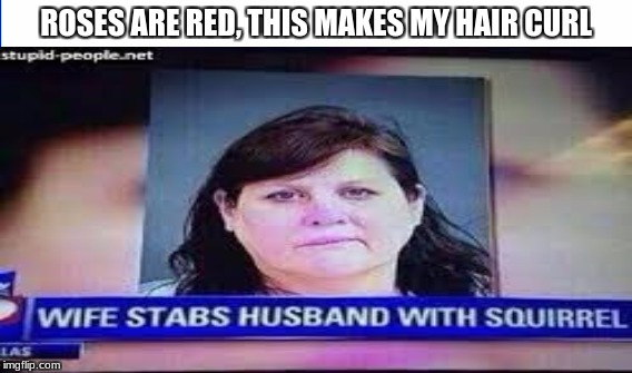 ROSES ARE RED, THIS MAKES MY HAIR CURL | image tagged in roses are red | made w/ Imgflip meme maker