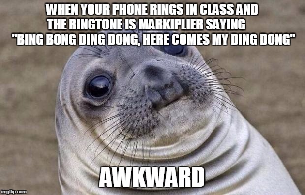 When Your Phone Rings in Class | WHEN YOUR PHONE RINGS IN CLASS AND THE RINGTONE IS MARKIPLIER SAYING       "BING BONG DING DONG, HERE COMES MY DING DONG"; AWKWARD | image tagged in memes,awkward moment sealion,markiplier | made w/ Imgflip meme maker