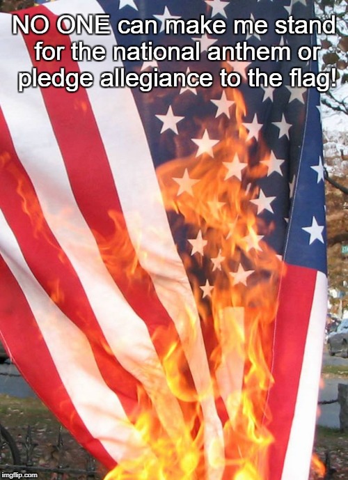 NO ONE can make me stand for the national anthem or pledge allegiance to the flag! | image tagged in donald trump,american flag,constitution,freedom of expression | made w/ Imgflip meme maker
