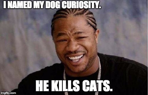 Yo Dawg Heard You Meme | I NAMED MY DOG CURIOSITY. HE KILLS CATS. | image tagged in memes,yo dawg heard you | made w/ Imgflip meme maker