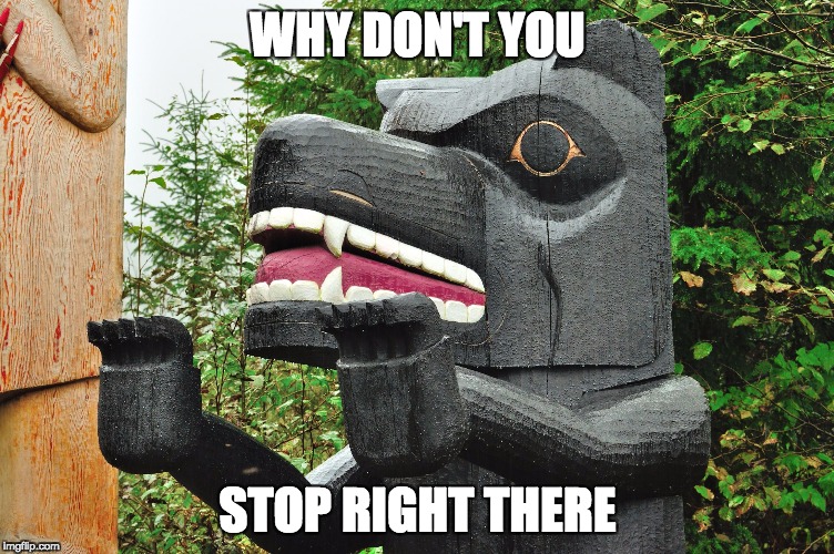 WHY DON'T YOU; STOP RIGHT THERE | image tagged in totemfigure | made w/ Imgflip meme maker