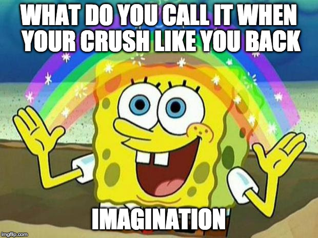 Let's face it.. this is reality XD | WHAT DO YOU CALL IT WHEN YOUR CRUSH LIKE YOU BACK; IMAGINATION | image tagged in spongebob rainbow,crush,imagination spongebob,imagination | made w/ Imgflip meme maker