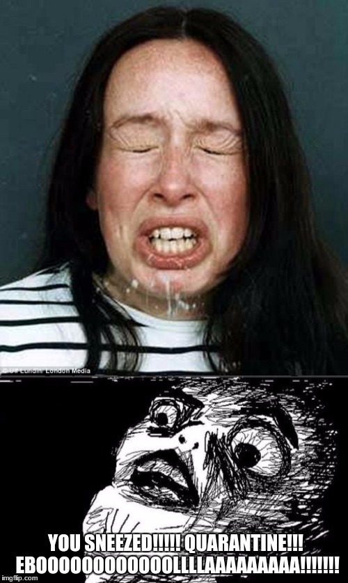 The Sneeze. |  YOU SNEEZED!!!!! QUARANTINE!!! EBOOOOOOOOOOOOLLLLAAAAAAAAA!!!!!!! | image tagged in sneeze,ebola | made w/ Imgflip meme maker