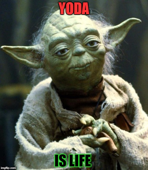 Star Wars Yoda Meme | YODA; IS LIFE | image tagged in memes,star wars yoda | made w/ Imgflip meme maker