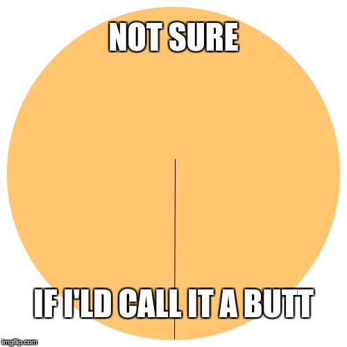 NOT SURE IF I'LD CALL IT A BUTT | made w/ Imgflip meme maker