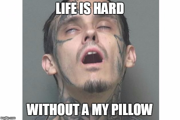 Life is Hard | LIFE IS HARD; WITHOUT A MY PILLOW | image tagged in sleep,mypillow | made w/ Imgflip meme maker