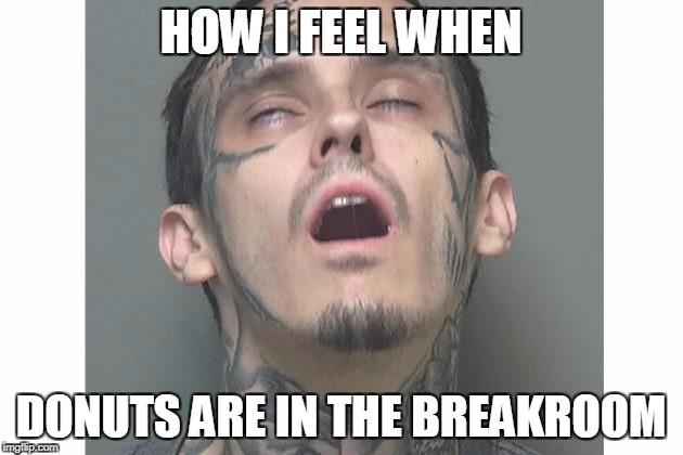 HOW I FEEL WHEN; DONUTS ARE IN THE BREAKROOM | image tagged in donuts | made w/ Imgflip meme maker