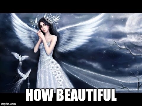 HOW BEAUTIFUL | made w/ Imgflip meme maker