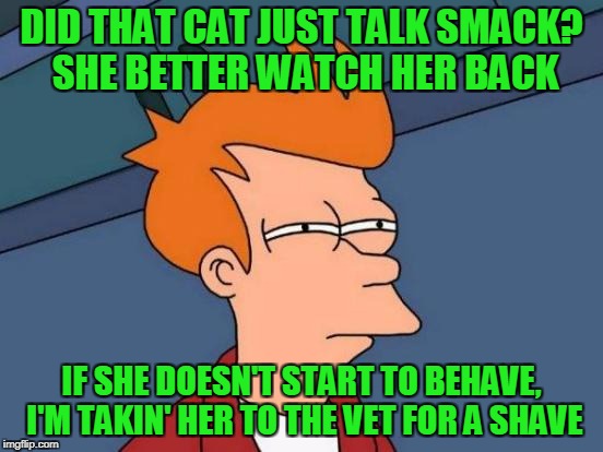 Futurama Fry Meme | DID THAT CAT JUST TALK SMACK? SHE BETTER WATCH HER BACK IF SHE DOESN'T START TO BEHAVE, I'M TAKIN' HER TO THE VET FOR A SHAVE | image tagged in memes,futurama fry | made w/ Imgflip meme maker