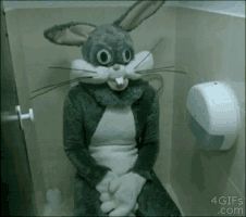 bathroom rabbit Blank Meme Template