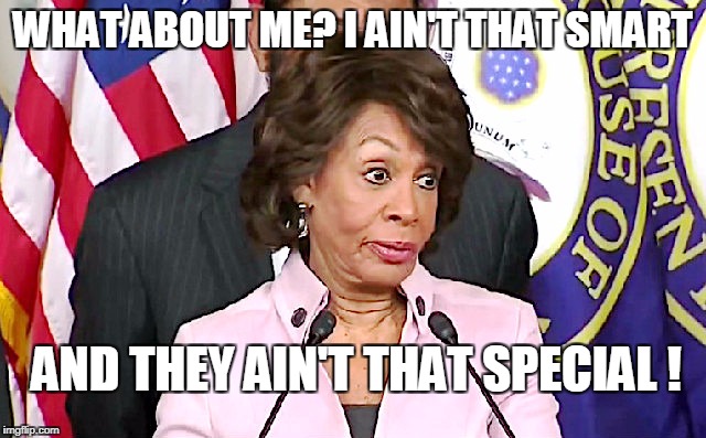 maxine answers questions | WHAT ABOUT ME? I AIN'T THAT SMART AND THEY AIN'T THAT SPECIAL ! | image tagged in maxine answers questions | made w/ Imgflip meme maker