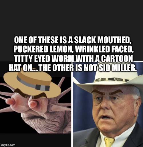 ONE OF THESE IS A SLACK MOUTHED, PUCKERED LEMON, WRINKLED FACED, TITTY EYED WORM WITH A CARTOON HAT ON....THE OTHER IS NOT SID MILLER. | image tagged in sid miller worm | made w/ Imgflip meme maker
