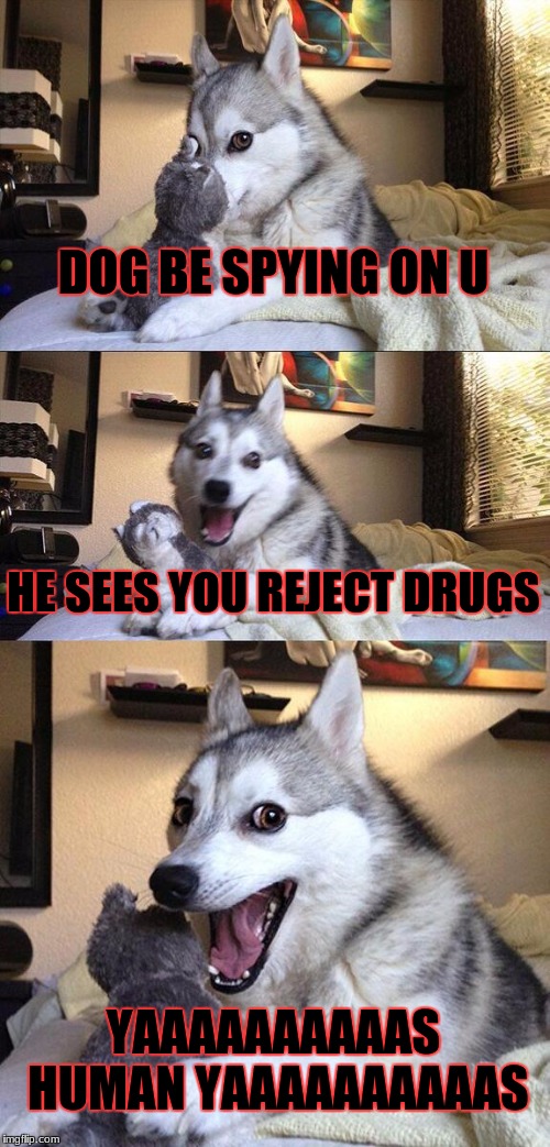 Bad Pun Dog Meme | DOG BE SPYING ON U; HE SEES YOU REJECT DRUGS; YAAAAAAAAAAS HUMAN YAAAAAAAAAAS | image tagged in memes,bad pun dog | made w/ Imgflip meme maker