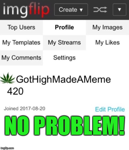 GotHighMadeAMeme Blank Profile | NO PROBLEM! | image tagged in gothighmadeameme blank profile | made w/ Imgflip meme maker
