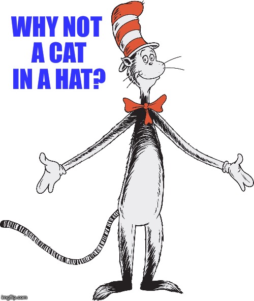 WHY NOT A CAT IN A HAT? | made w/ Imgflip meme maker