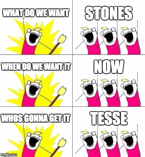 What Do We Want 3 Meme | WHAT DO WE WANT; STONES; WHEN DO WE WANT IT; NOW; WHOS GONNA GET IT; TESSE | image tagged in memes,what do we want 3 | made w/ Imgflip meme maker