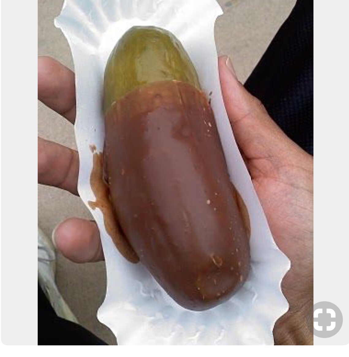 Chocolate pickle Blank Meme Template