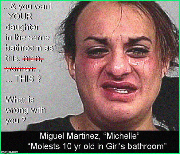 You want THIS in your Daughter's bathroom ?....Seriously ? | image tagged in transgender bathroom,current events,lol so funny,political meme,politics lol,lgbtq | made w/ Imgflip meme maker
