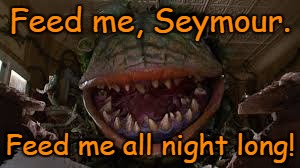 Feed me, Seymour. Feed me all night long! | made w/ Imgflip meme maker