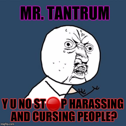 Y U No Grow Up Mr. Tantrum? | MR. TANTRUM; Y U NO ST🔴P HARASSING AND CURSING PEOPLE? | image tagged in memes,y u no,funny,trolls,imgflip,hamsters made of fire save the universe | made w/ Imgflip meme maker