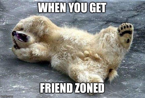 Oh nooo polar bear | WHEN YOU GET; FRIEND ZONED | image tagged in oh nooo polar bear | made w/ Imgflip meme maker