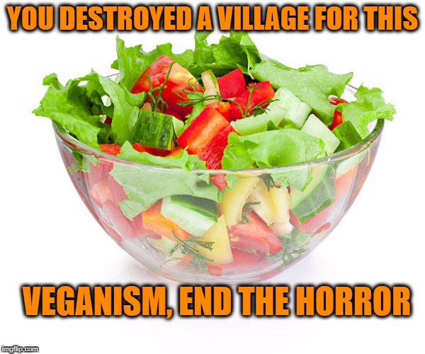 Veganism, the horrors | YOU DESTROYED A VILLAGE FOR THIS; VEGANISM, END THE HORROR | image tagged in salad,vegan,veganism,carnivores,meat,lord of the rings meat's back on the menu | made w/ Imgflip meme maker