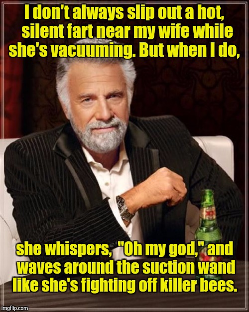 The Most Interesting Man In The World Meme | I don't always slip out a hot,  silent fart near my wife while she's vacuuming. But when I do, she whispers,  "Oh my god," and waves around the suction wand like she's fighting off killer bees. | image tagged in memes,the most interesting man in the world | made w/ Imgflip meme maker