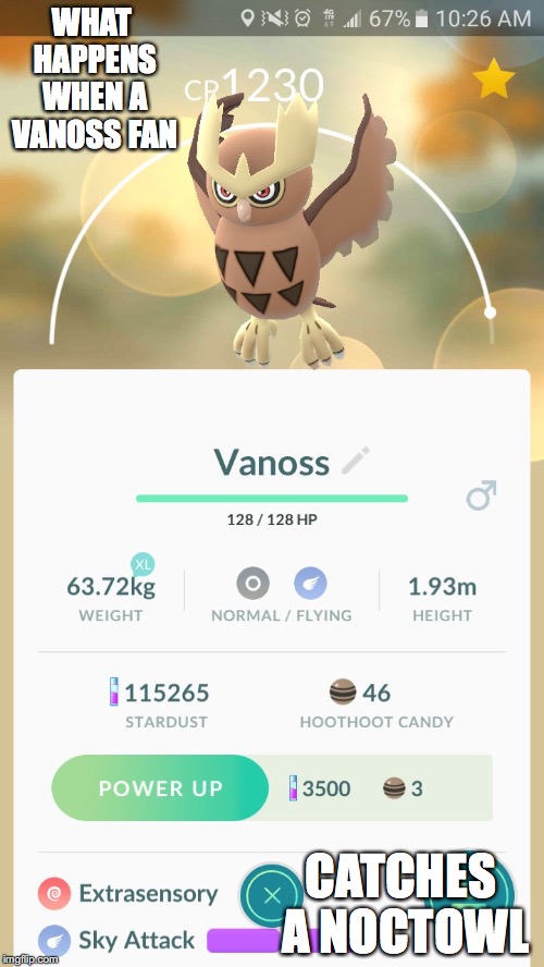 Noctowl on Pokemon Go | WHAT HAPPENS WHEN A VANOSS FAN; CATCHES A NOCTOWL | image tagged in pokemon go,noctowl,memes | made w/ Imgflip meme maker