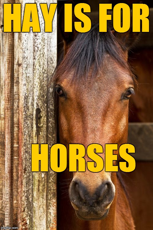 HAY IS FOR HORSES | made w/ Imgflip meme maker