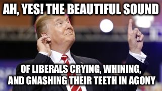 AH, YES! THE BEAUTIFUL SOUND; OF LIBERALS CRYING, WHINING, AND GNASHING THEIR TEETH IN AGONY | image tagged in trump listening | made w/ Imgflip meme maker