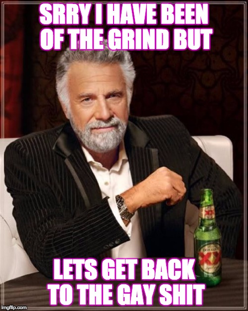 The Most Interesting Man In The World Meme | SRRY I HAVE BEEN OF THE GRIND BUT; LETS GET BACK TO THE GAY SHIT | image tagged in memes,the most interesting man in the world | made w/ Imgflip meme maker