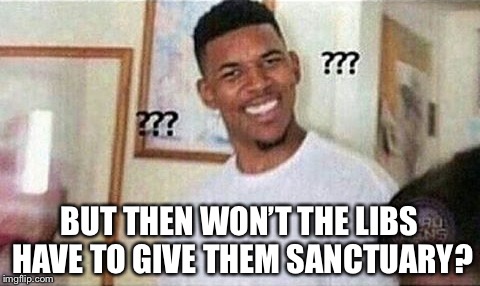 BUT THEN WON’T THE LIBS HAVE TO GIVE THEM SANCTUARY? | made w/ Imgflip meme maker