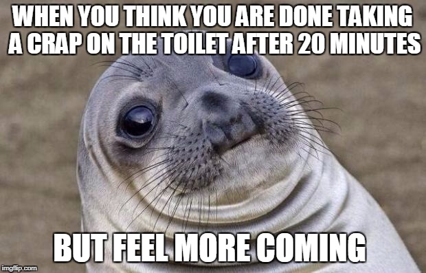 I REALLY hate it when this happens... | WHEN YOU THINK YOU ARE DONE TAKING A CRAP ON THE TOILET AFTER 20 MINUTES; BUT FEEL MORE COMING | image tagged in memes,awkward moment sealion | made w/ Imgflip meme maker