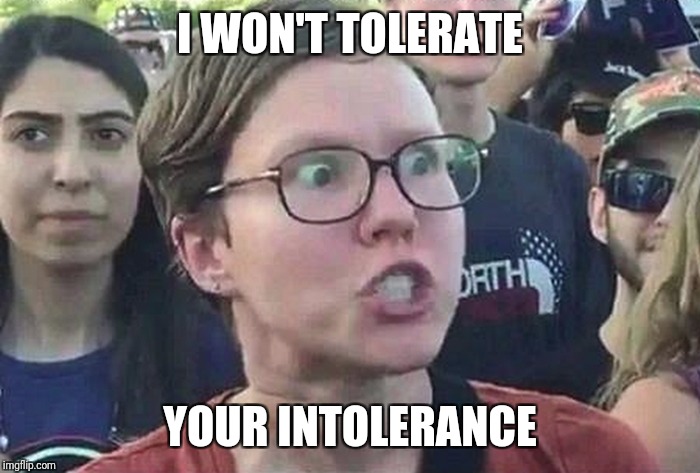 Triggered Liberal | I WON'T TOLERATE; YOUR INTOLERANCE | image tagged in triggered liberal | made w/ Imgflip meme maker