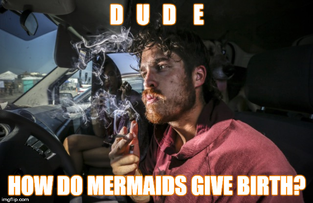 Ganja Thoughts | D   U   D    E; HOW DO MERMAIDS GIVE BIRTH? | image tagged in stoner driving,memes,deep thoughts,stupid,sudden realization | made w/ Imgflip meme maker