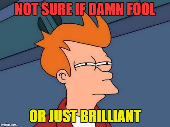 Futurama Fry Meme | NOT SURE IF DAMN FOOL OR JUST BRILLIANT | image tagged in memes,futurama fry | made w/ Imgflip meme maker