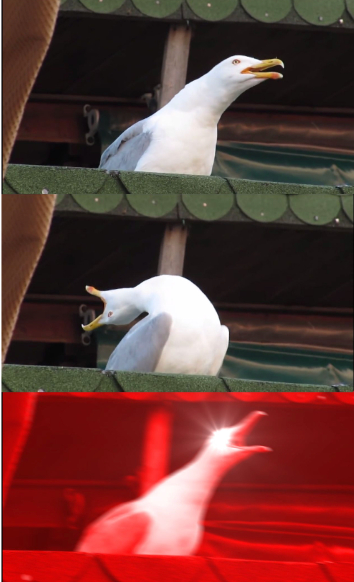 High Quality Inhaling seagull Blank Meme Template