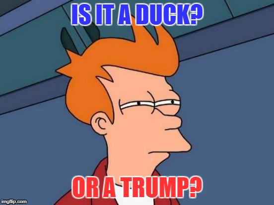 Futurama Fry Meme | IS IT A DUCK? OR A TRUMP? | image tagged in memes,futurama fry | made w/ Imgflip meme maker