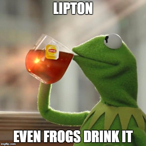 But That's None Of My Business Meme | LIPTON; EVEN FROGS DRINK IT | image tagged in memes,but thats none of my business,kermit the frog | made w/ Imgflip meme maker