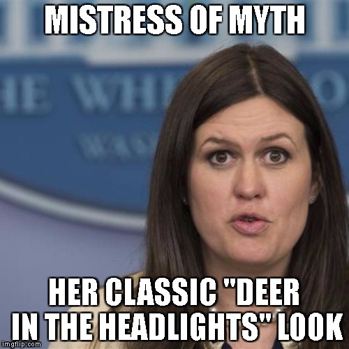 MISTRESS OF MYTH; HER CLASSIC "DEER IN THE HEADLIGHTS" LOOK | image tagged in stunned sara | made w/ Imgflip meme maker