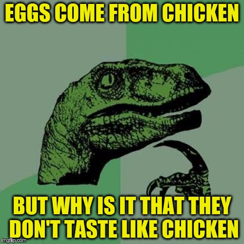 Philosoraptor Meme | EGGS COME FROM CHICKEN; BUT WHY IS IT THAT THEY DON'T TASTE LIKE CHICKEN | image tagged in memes,philosoraptor,funny,eggs,chicken,don't taste like chicken | made w/ Imgflip meme maker