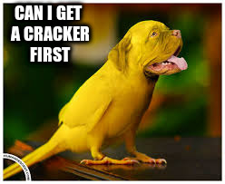 CAN I GET A CRACKER FIRST | made w/ Imgflip meme maker