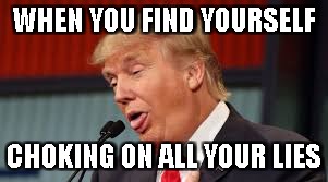 WHEN YOU FIND YOURSELF; CHOKING ON ALL YOUR LIES | image tagged in dt choke | made w/ Imgflip meme maker
