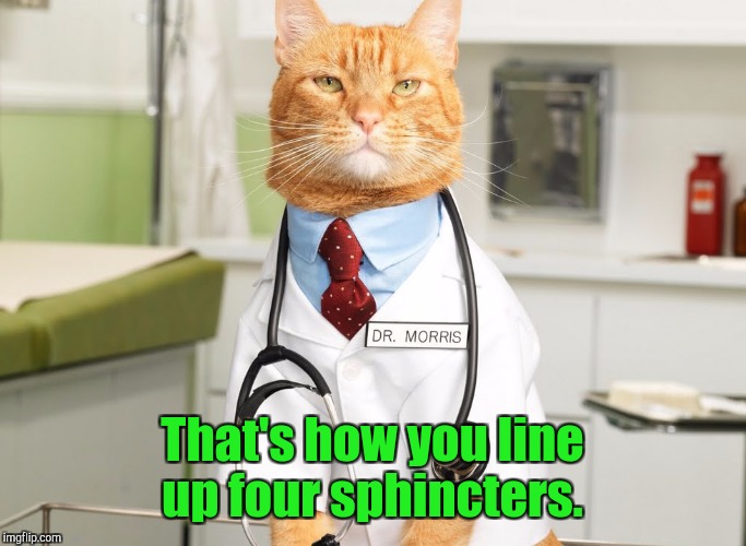 That's how you line up four sphincters. | made w/ Imgflip meme maker