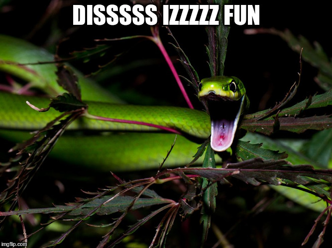 DISSSSS IZZZZZ FUN | made w/ Imgflip meme maker