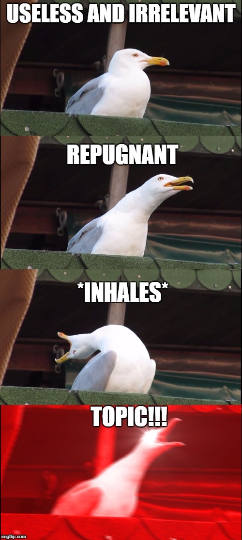 Inhaling Seagull Meme | USELESS AND IRRELEVANT; REPUGNANT; *INHALES*; TOPIC!!! | image tagged in inhaling seagull | made w/ Imgflip meme maker