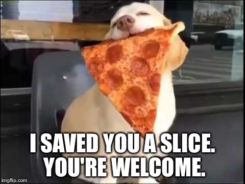 Slice of pizza from a canine friend | I SAVED YOU A SLICE. YOU'RE WELCOME. | image tagged in pizza spirit animal | made w/ Imgflip meme maker