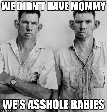 WE DIDN'T HAVE MOMMY WE'S ASSHOLE BABIES | made w/ Imgflip meme maker